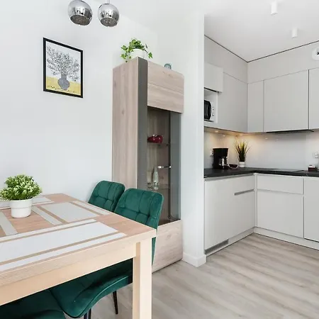 Zakopianskie Apartamenty, Sun & Snow Апартаменты *