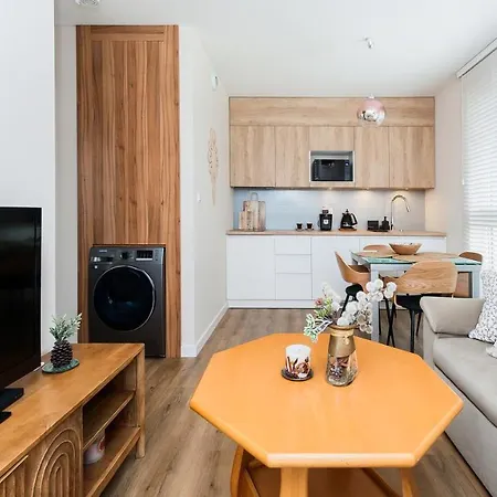 Апартаменты Zakopianskie Apartamenty, Sun & Snow Закопане